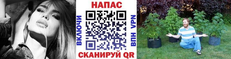 Хочу наркоту Ачинск COCAIN Меф А ПВП МАРИХУАНА МДМА Гашиш