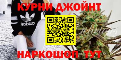 мдпв Пугачёв
