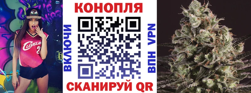 OMG ONION  сколько стоит  Ачинск  Шишки марихуана White Widow 