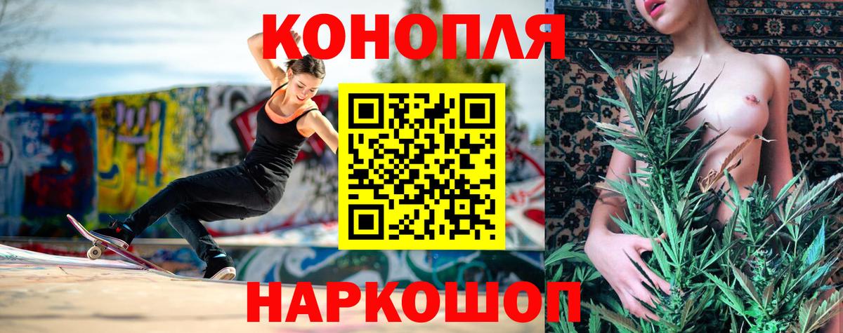 Конопля планчик Ачинск
